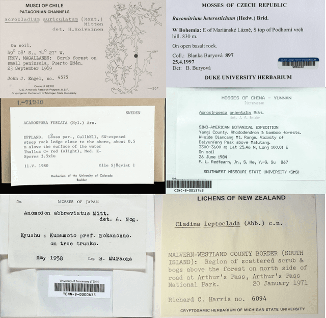 Research Label Collage